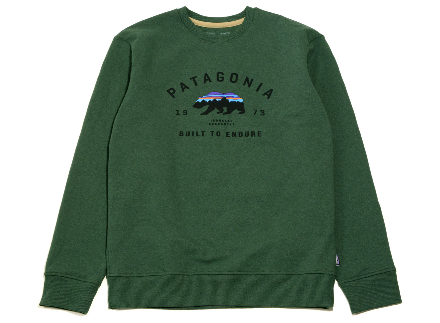 Patagonia arched fitz roy bear sale